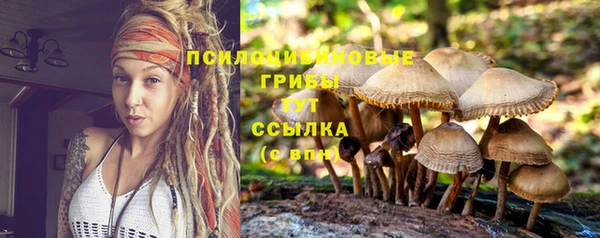 ALPHA-PVP Куйбышев