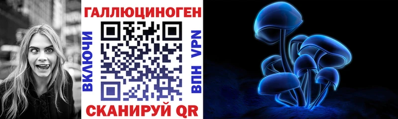 где купить наркотик  Улан-Удэ  Псилоцибиновые грибы Magic Shrooms 